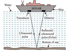 sonar depth sea fish echo sound measure shoals device water waves using determination science ultrasound ocean diagram detect uses echoes