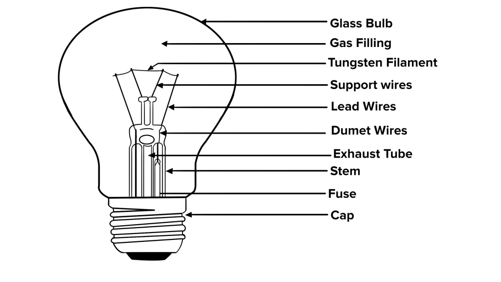Uses of light bulbs and their structure Science online