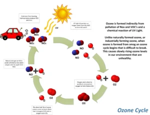 Importance of the ozone layer and its structure, What is the ozone hole? Ozone layer formation