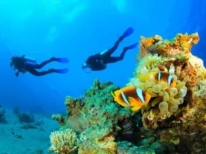 The components of the Earth's atmosphere and the importance of them Oxygen in diving