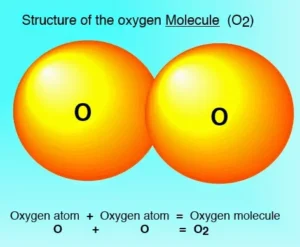 Matter construction and properties of molecules of matter, Why is studying molecules important? Oxygen molecule