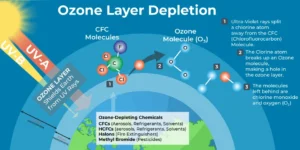 Erosion of ozone layer, and protection from ozone layer pollutants Pollutants of the ozone layer