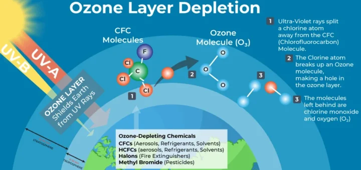Can the ozone layer recover completely? – Science online