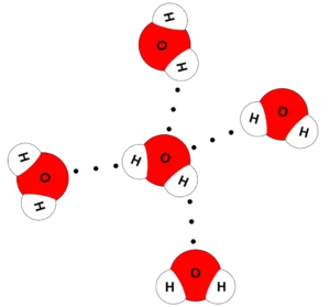 Importance of the water and its structure water molecules