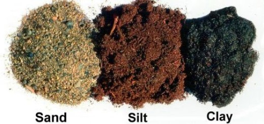 Soil types