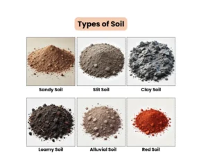 Types and properties of the soil, Sand soil, Silt soil and Clay soil Types of the soil