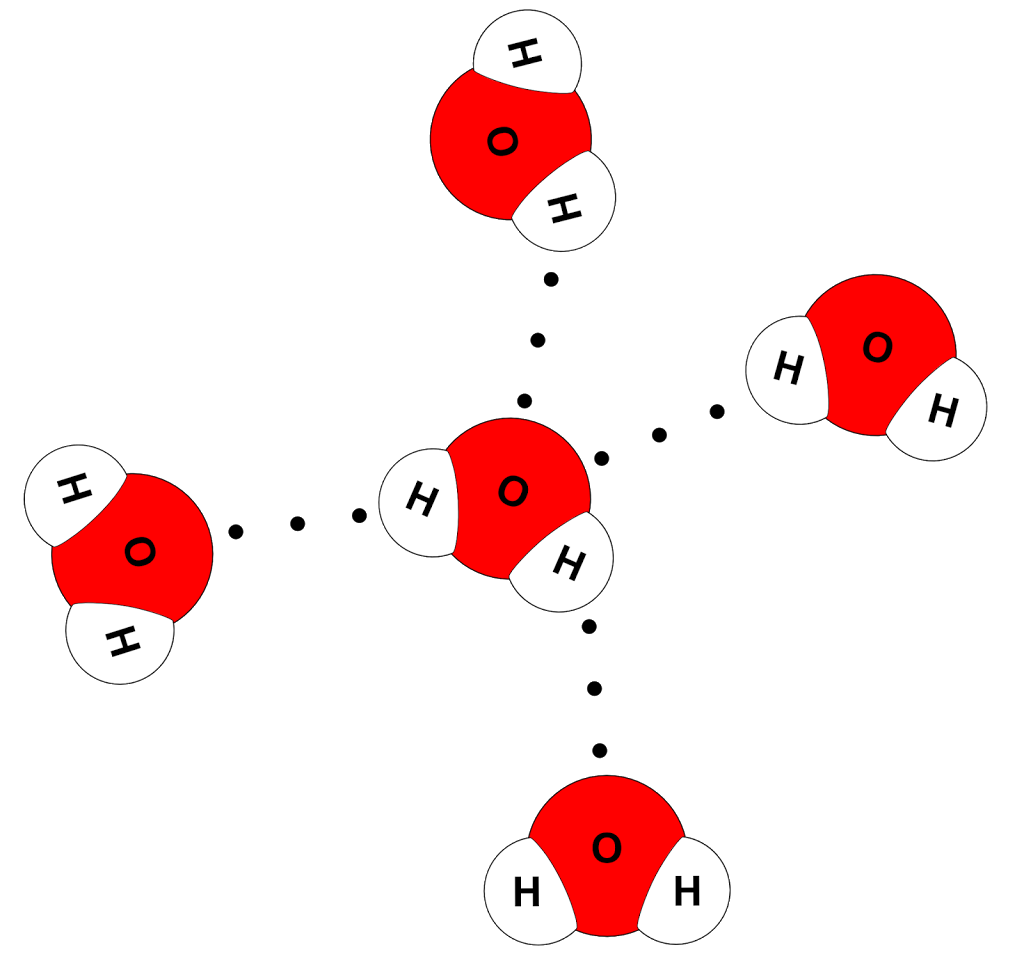 The water molecules
