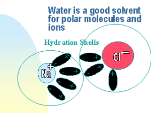 States of water, physical and chemical properties of the water, What is the water cycle? The water is a good polar solvent