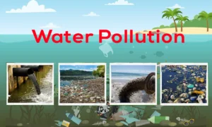 Water pollutants, water pollution disadvantages and protection of water from the pollution Water pollutants