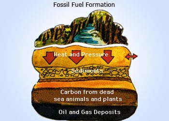 The fossil fuel formation