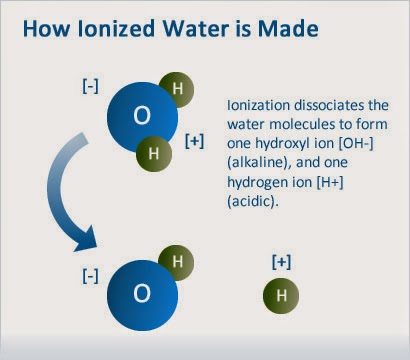 The water ionization