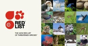 The causes of the endanger to some endangered species Red List