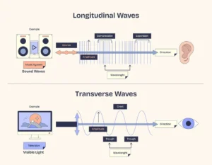 Wave motion examples & types of waves, Can waves carry energy?, What determines the speed of a wave? Transverse waves and longitudinal waves