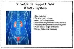 How Does the Skin Remove Excess Salts and How to Keep Your Urinary System Healthy? Full Guide How to keep urinary system healthy