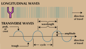 Powerful Difference Between Transverse Waves and Longitudinal Waves (Complete Guide 2026) Difference between transverse waves and longitudinal waves