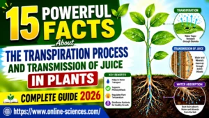 15 powerful Facts About the Transpiration Process and Transmission of Juice in Plants: Complete Guide 2026 Transpiration Process and Transmission of Juice in Plants