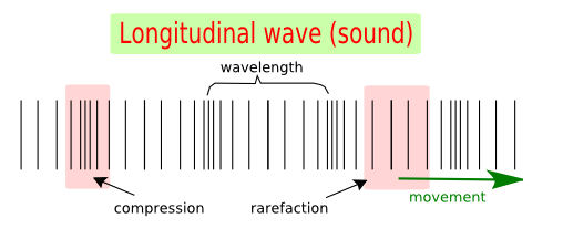Characteristics Of Longitudinal And Transverse Waves Class 11 - what is ...