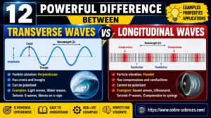 Powerful Difference Between Transverse Waves and Longitudinal Waves (Complete Guide 2026) Difference between transverse waves and longitudinal waves