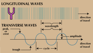 Longitudinal and transverse waves