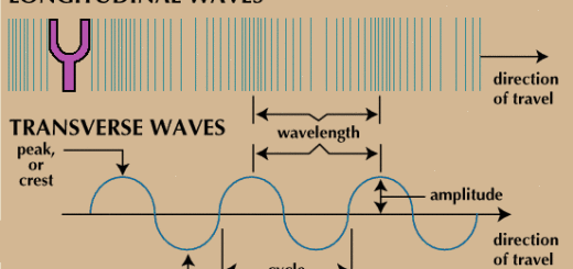 Longitudinal and transverse waves