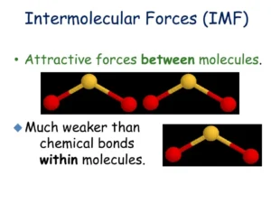 7 Amazing Properties of Molecules of Matter: Structure, Characteristics, and Real-Life Examples Intermolecular forces