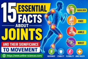 15 Essential Facts About Joints and Their Significance to Movement: Complete Guide 2026 Joints and their significance to movement
