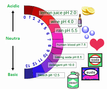 The Importance And Properties Of The Bases Alkalis Science Online