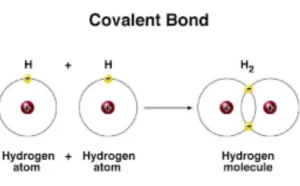 7 Powerful Types of Covalent Bonds Explained: Amazing Chemistry Guide 2026 Covalent bonds