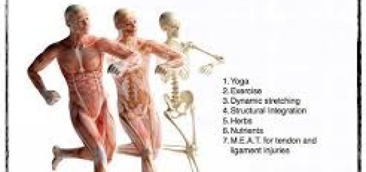 Healthy skeletal system