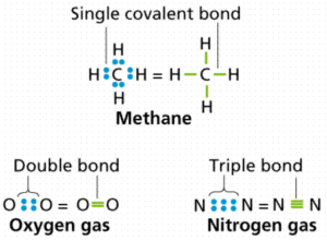 7 Powerful Types of Covalent Bonds Explained: Amazing Chemistry Guide 2026 Types of covalent bonds