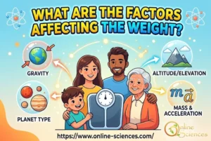 What Are the Factors Affecting the Weight? 10 Essential and Powerful Factors Explained What are the factors affecting the weight?
