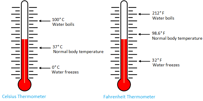 Celsius thermometer & Fahrenheit thermometer