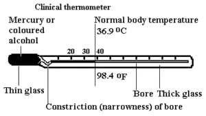 Importance of Measuring Temperature: 12 Powerful Benefits of Using a Medical Thermometer for Better Health Clinical thermometer
