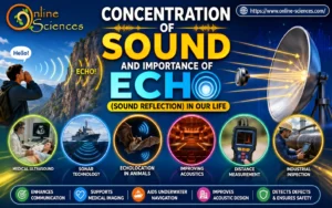 7 Amazing Uses of Concentration of Sound and Importance of Echo (Sound Reflection) in Our Life Concentration of Sound and Importance of Echo