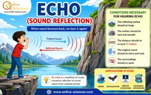 Echo (Sound Reflection): 7 Powerful Facts About Echo and Amazing Conditions Necessary for Hearing It Echo (Sound Reflection)