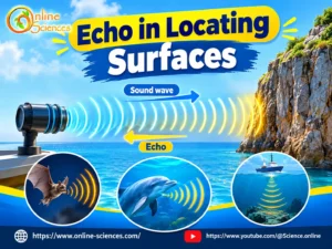 Echo in Locating Surfaces: 7 Powerful Facts About Finding Barriers Echo in Locating Surfaces: 7 Powerful Facts About Finding Barriers