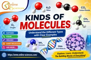 10 Amazing Kinds of Molecules: A Complete and Easy Guide with Examples Kinds of Molecules