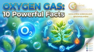 Oxygen Gas: 10 Powerful Facts About Its Amazing Properties, Sources & Cycle Oxygen Gas: 10 Powerful Facts About Its Amazing Properties, Sources & Cycle