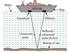 10 Amazing Facts About Determination of Sea Depth and Fish Shoals by Echo Sonar device