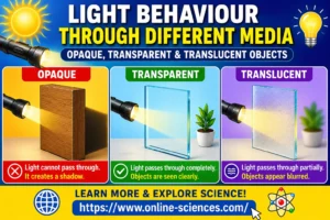 What is the light behaviour through different media?, Opaque, transparent and translucent objects Explained (2026) Light behaviour through different media