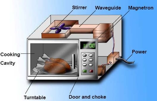 Microwave oven danger