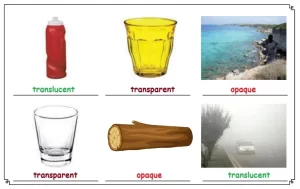 What is the light behaviour through different media?, Opaque, transparent and translucent objects Explained (2026) Opaque, transparent and translucent objects