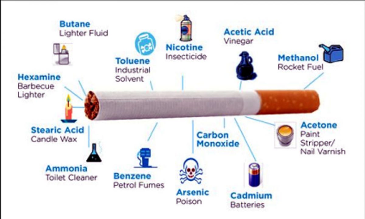 fda tobacco inspector jobs Youth Jobs — The 84 Movement
