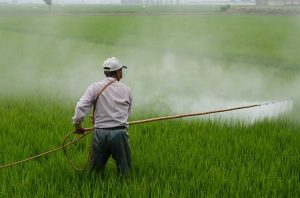 Chemical pesticides