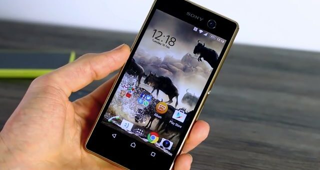 Sony Xperia M5