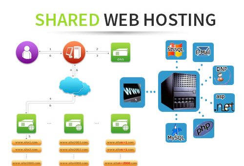 Shared web Hosting