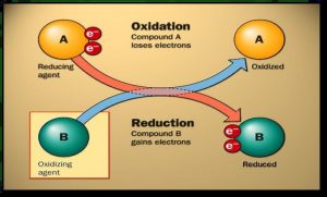 Oxidation and reduction 