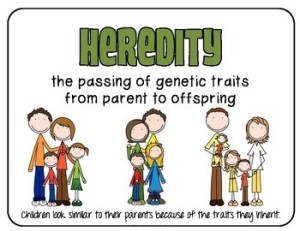 Main principles of Heredity and Mendel's experiments | Science online