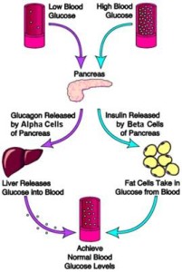 Sugar in blood