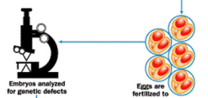 Embryo Screening